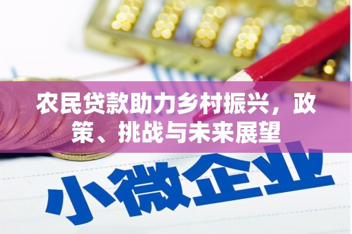 新园农民贷款助力乡村振兴，政策、挑战与未来展望