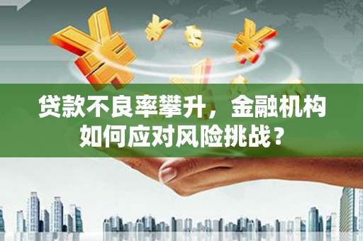 梧栖贷款不良率攀升，金融机构如何应对风险挑战？