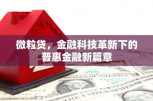 和美微粒贷，金融科技革新下的普惠金融新篇章