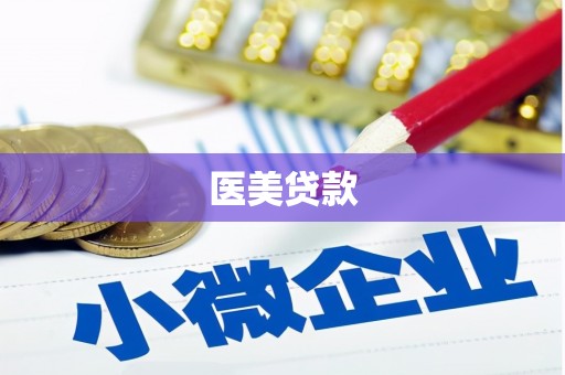 双台子医美贷款