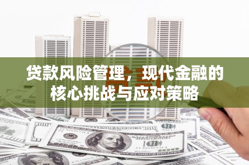 缙云贷款风险管理，现代金融的核心挑战与应对策略