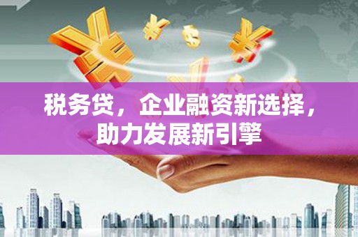 安次税务贷，企业融资新选择，助力发展新引擎