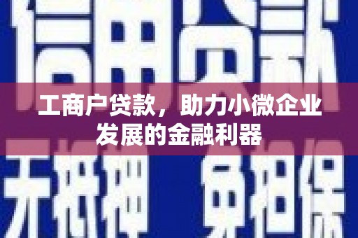 坊子工商户贷款，助力小微企业发展的金融利器