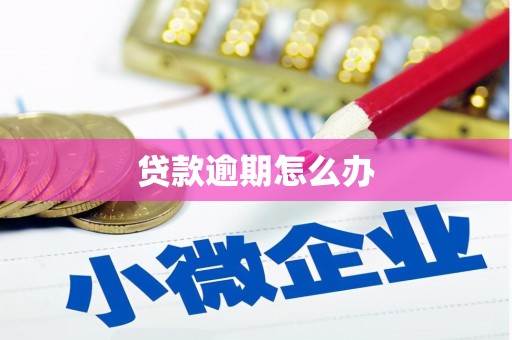 大武贷款逾期怎么办