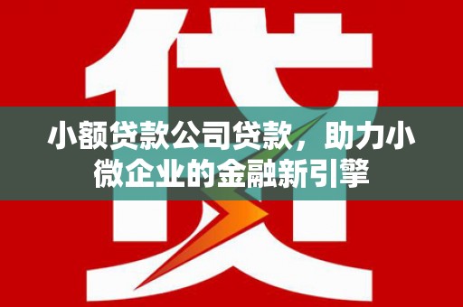 怀集小额贷款公司贷款，助力小微企业的金融新引擎
