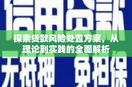武侯探索贷款风险处置方案，从理论到实践的全面解析