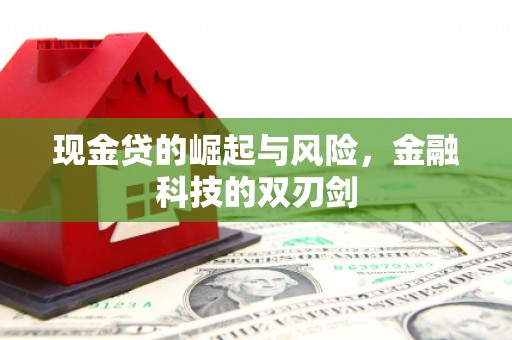乐东现金贷的崛起与风险，金融科技的双刃剑