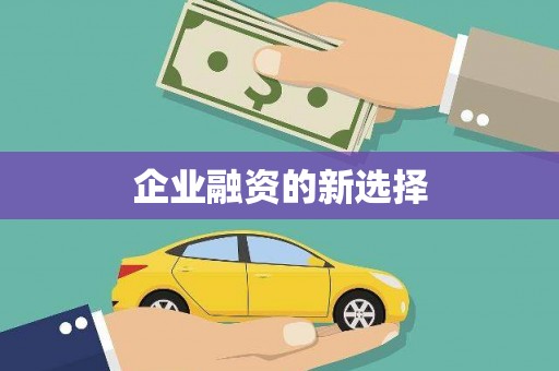 望谟企业融资的新选择