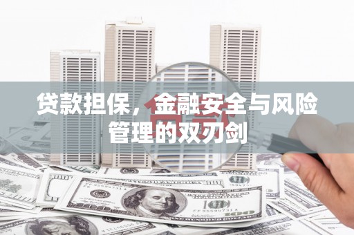 宣城贷款担保，金融安全与风险管理的双刃剑