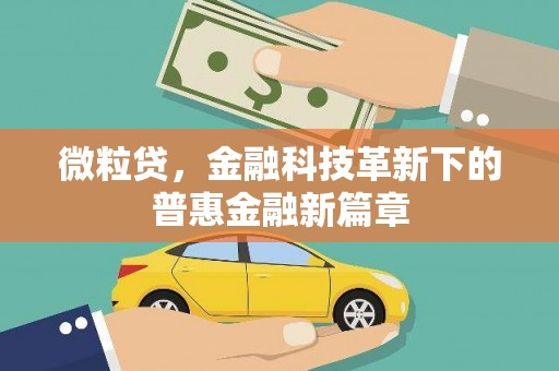 洋山微粒贷，金融科技革新下的普惠金融新篇章