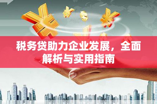 万源税务贷助力企业发展，全面解析与实用指南