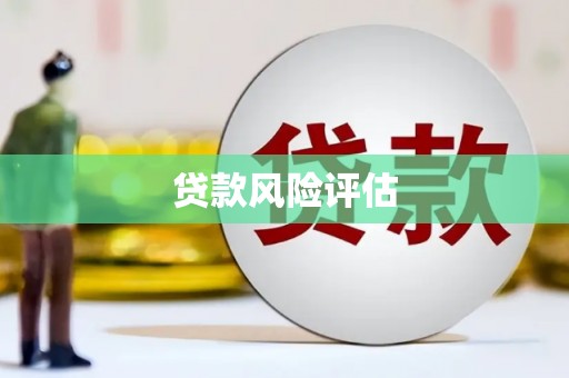 仁布贷款风险评估