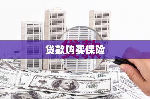 东丰贷款购买保险
