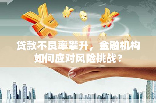 双辽贷款不良率攀升，金融机构如何应对风险挑战？