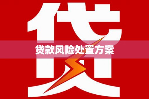 茂县贷款风险处置方案