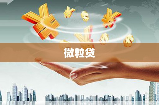 南平微粒贷
