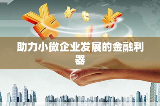 桐城助力小微企业发展的金融利器