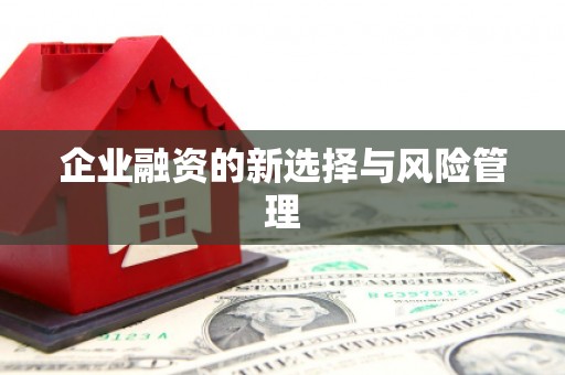 法库企业融资的新选择与风险管理