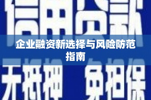 芦竹企业融资新选择与风险防范指南