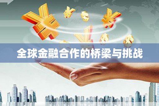 理县全球金融合作的桥梁与挑战